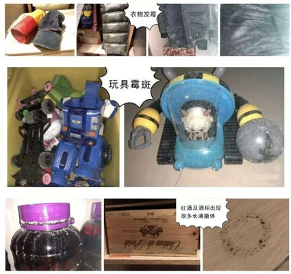 潮濕
